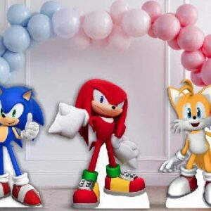 Yard Sign Decor Prop Cutout Sonic the Hedgehog Modern Sonic Tails Knuckles Life Size Birthday Party Home